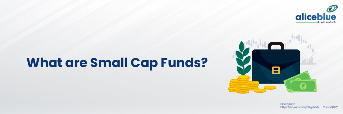 What are Small Cap Funds