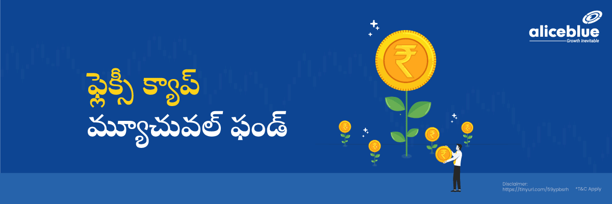 Flexicap Mutual Fund Telugu