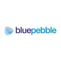 Blue Pebble IPO