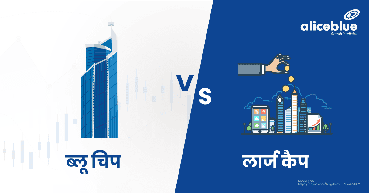 Blue Chip Vs Large Cap In Hindi